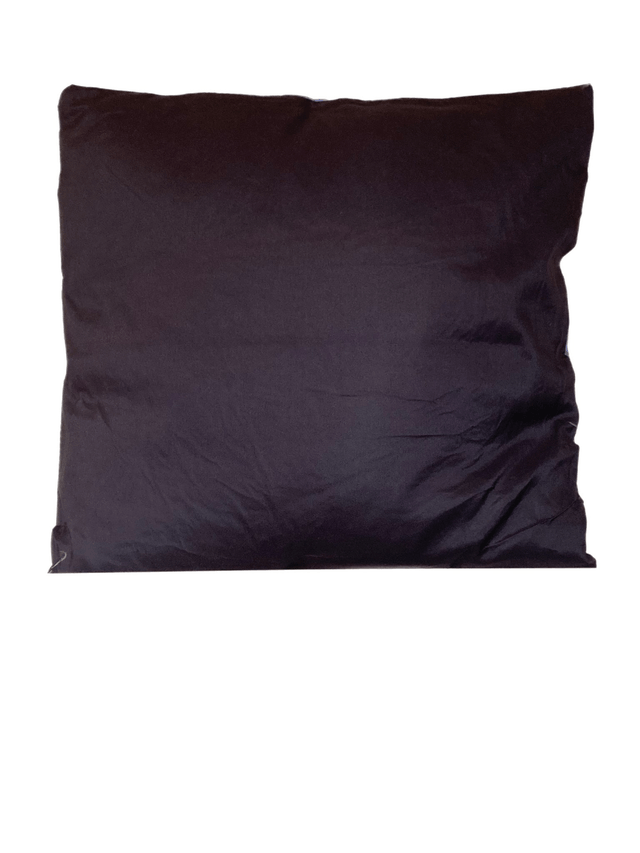  Anne Stokes cushion " Protector of Magic " 
