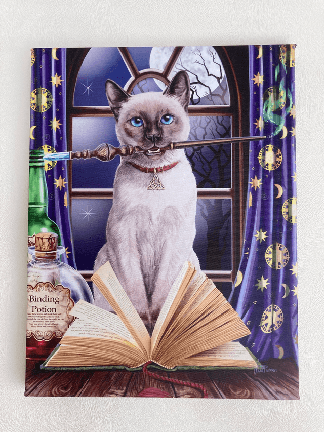 Lisa Parker &quot;Hocus Pocus&quot; Canvas